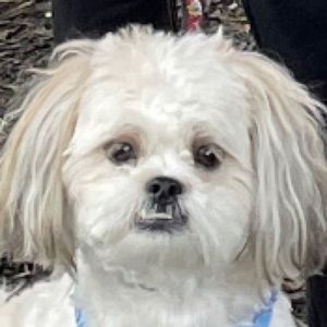 Meet your Posher, Hailey